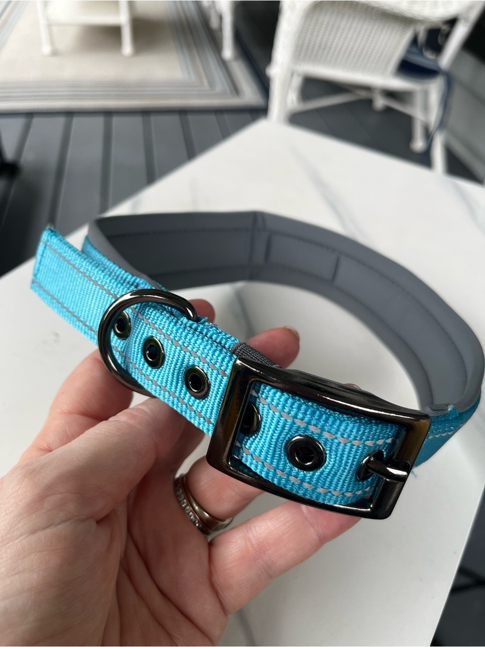 NWT Large Dog 🐶 Collar with Black Hardware